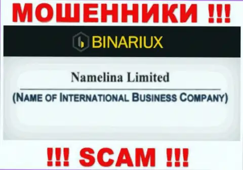 Binariux Net - это internet-мошенники, а руководит ими Namelina Limited