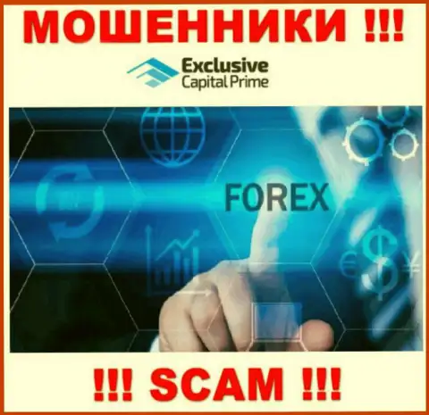 Forex - это сфера деятельности преступно действующей организации ExclusiveCapital Com