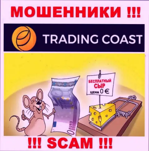 В организации Trading-Coast Com вешают лапшу лохам и заманивают к себе в жульнический проект