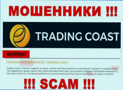 Область деятельности Trading-Coast Com: ФОРЕКС - хороший заработок для интернет аферистов