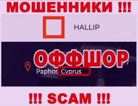 Лохотрон Халлип зарегистрирован на территории - Cyprus
