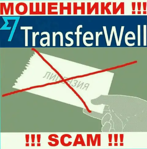 Вы не сможете откопать инфу о лицензии мошенников TransferWell Net, поскольку они ее не имеют