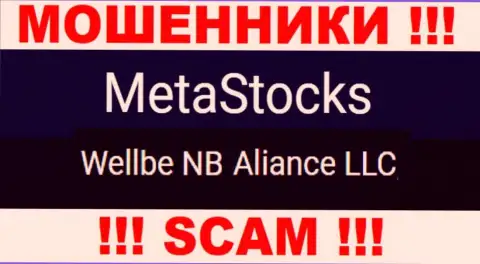Юридическое лицо internet-мошенников MetaStocks Co Uk - это Wellbe NB Aliance LLC