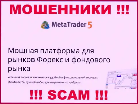 Весьма рискованно взаимодействовать с интернет мошенниками Meta Trader 5, вид деятельности которых Торговая платформа