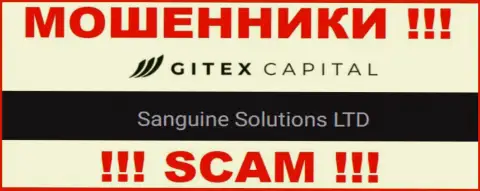 Юридическое лицо GitexCapital Pro - это Sanguine Solutions LTD, такую инфу показали мошенники на своем сайте
