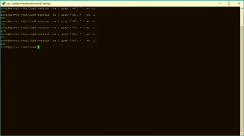 Количество коннектов, висящих на порту 80 сервера, на котором находится wssolution.net